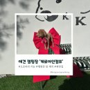 별이와콩이 | 케로아인캠프,반려견 오프리쉬가 가능한 캠핑장다녀왔콩!