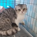 동부동물병원 이미지