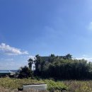 신산공인중개사사무소 이미지