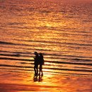 노을바다 이미지