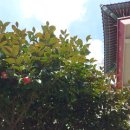 병풍암 앞 화장실 이미지