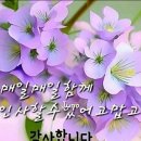 ♡3월21일 금요일 카톡인사! 이미지