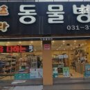 펫츠나라 동물병원 네이버블로그