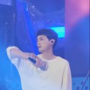 경포 썸머 페스티벌 늦은 후기💙 이미지