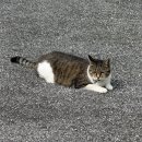 힐파크(구 샤넬파크) | 9월 주간일기 (유튜브 시작, 이천 도자기 마을, 너븐재, 심사영, 야반, 나이키 후드, 룰루레몬 요가팬츠...