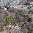 강남정공원 네이버블로그