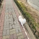 욜로PC방 대전가오점 | 흥얼흥얼 2월 일상