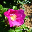 등대와올레길 이미지