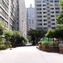 탄벌동-11 이미지