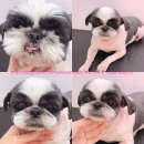 하단동174 이미지