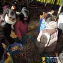 돌산봉덕초등학교 이미지