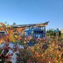 담은작은도서관 이미지