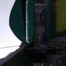 우정낚시터 이미지