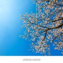 낙안빌딩 이미지