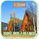 평창스위스마을 | 강원도 평창 독채 대관령 펜션 가성비 좋은 가시머리펜션 아이랑
