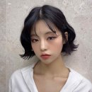 샵오오티디
