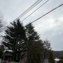 초원A | 기장 글램핑 초원숲속글램핑 부산 근교 바베큐 승마체험 가능한 감성 글램핑 후기