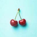 디엘의원 이미지