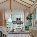 케어덴 동물치과&내과병원 | [강남] 강아지 치과 수술｜케어덴 동물치과 &amp; 내과병원