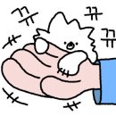 건강한식탁파스타