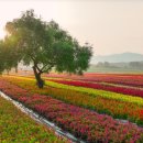 1인미디어 영상제작 교육운영 이미지