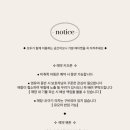 파나셰 네이버블로그