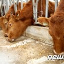 박진규농장 이미지