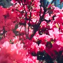 등너머약수터 이미지