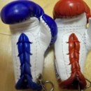 블루트윈스 이미지