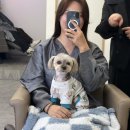 서현살롱 | 서현역 미용실 살롱고은 모발 클리닉 린다 실장님 후기