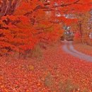 양우탑공인중개사사무소 이미지