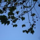 경주한의원 이미지