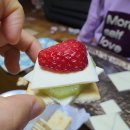 카나페 Daum카페