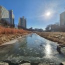 천현초등학교 뒤 이미지