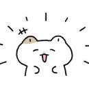 비바더레스트 이미지