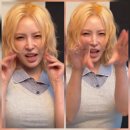 보아 근황 이미지