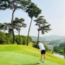 해솔리아골프연습장 | 용인 해솔리아CC 파3 18홀｜골프장 숏게임 연습하기 좋은 곳