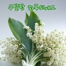 건강사랑 이미지