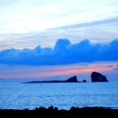 사랑의 노래 이미지