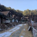 에스엔제이 | 가평 애견펜션 / 강아지 첫 여행으로 다녀온 에스엔제이 애견 펜션 후기 (독채·제트스파·바베큐 가능)