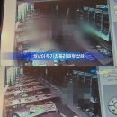 MBC 뉴스데스크, 과도한 폭력장면 보도 '공식사과에도 논란 커져' 이미지