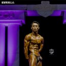 로얄피트니스 이미지