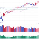 한진칼 주식 사도 될까? 개인 투자자의 실제 매매 후기 (2025-05-28)