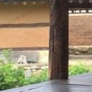 구미민박
