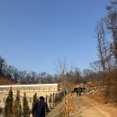 카페슈 | 파주 대형 애견카페 슈베르몽 후기 | 반려견카페 입장료 가격 가오픈 정보