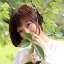 나나오 카카오 검색결과
