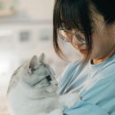 24시 라인동물의료센터 이미지