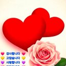Celine Dion - At Seventeen / Because of You, My Love - Rudy Jaymes 이미지