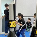 용인대 명문 태권도장 이미지