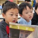 노벨어린이집 | 구미 도량동 미소몬테소리어린이집 도서관 다녀온 후기